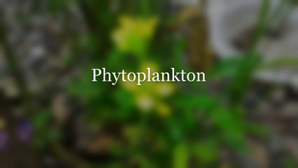 Small cloud of knowledge ep. no.5