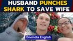 Man punches shark to save wife in Australian shark attack | Oneindia News