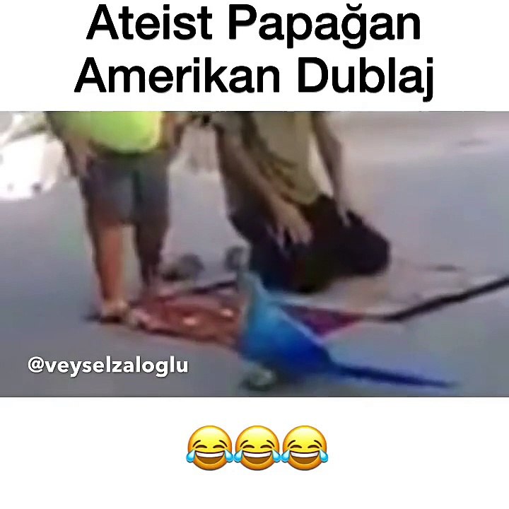 Ateist Papağan