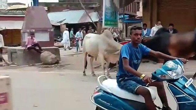 आगरा: शराब पीने के बाद शराबी बना बाहुबली, देखें वीडियो