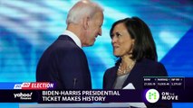 Kamala Harris will help Biden 'grow the Democratic coalition'- Princeton Professor