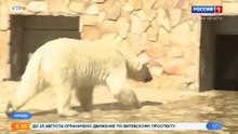 サンクトペテルブルクのレニングラード動物園が155周年となる (Aug15_2020)