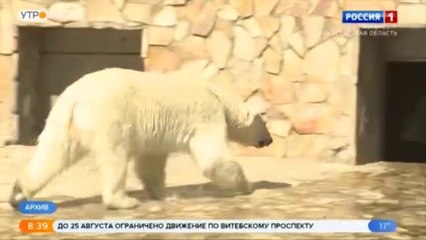 サンクトペテルブルクのレニングラード動物園が155周年となる (Aug15_2020)