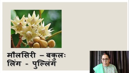 Sanskrit mein Phoolon ke naam ll Picture Sahit ll Flowers name in Sanskrit