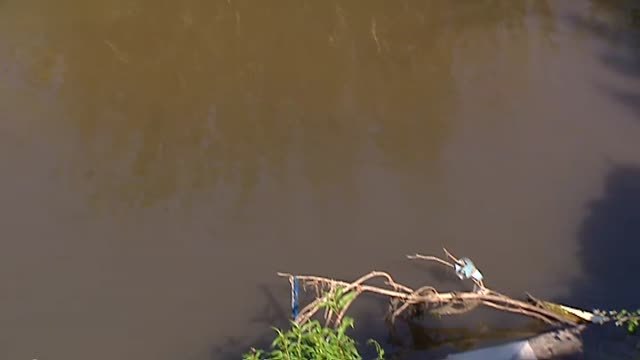 Cuatro de cada diez ríos españoles no cumplen los estándares de calidad del agua