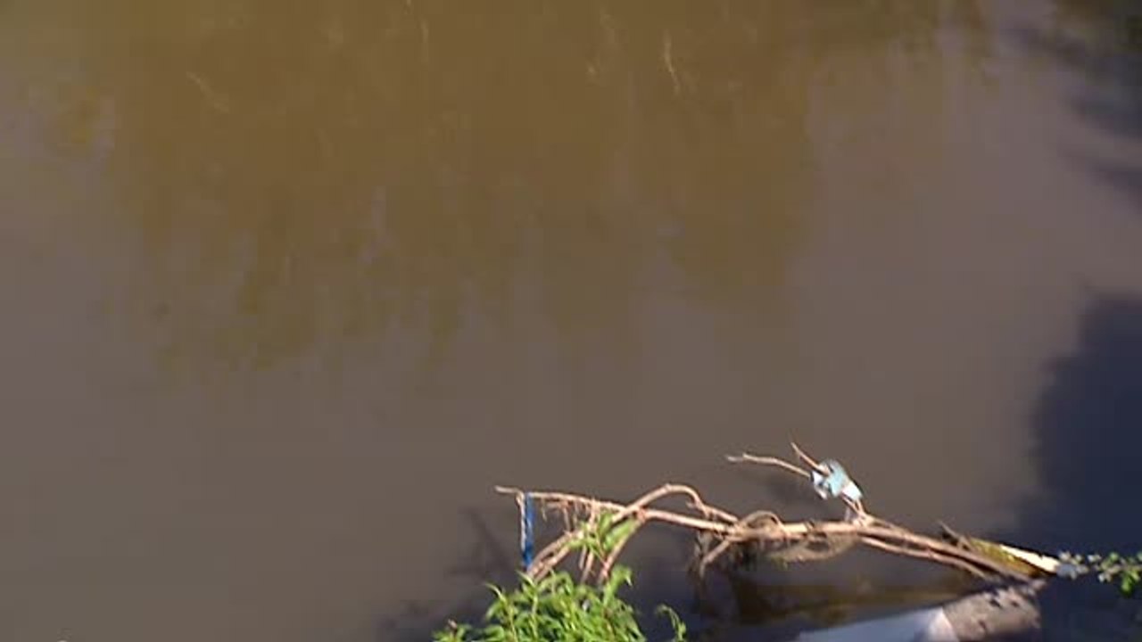 Cuatro de cada diez ríos españoles no cumplen los estándares de calidad del agua