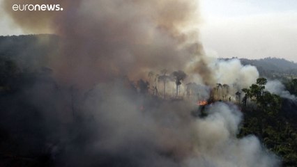 Tovább pusztít az erdőtűz Amazónia területén