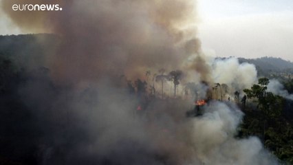 Amazónia devastada por incêndios