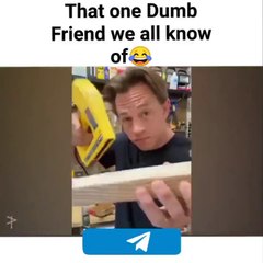 We All have that one Dumb Girl