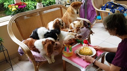 Joyeux Anniversaire Frou Frou