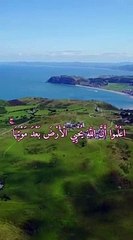 _ اعلموا أن الله يجي الأرض بعد موتها ..._ - تلاوة خاشعة ❤️(360P)_1