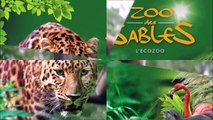 Visite au Zoo des Sables D ' Olonne ( Vendée ) , Dimanche 16 Août 2020
