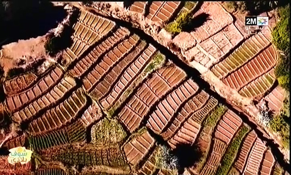 جولة بمدينة الدريوش للتعرف على مميزاتها الطبيعية...في -شوف بلادي المغرب