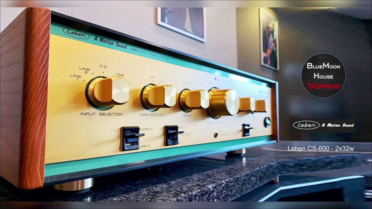 Leben CS 600