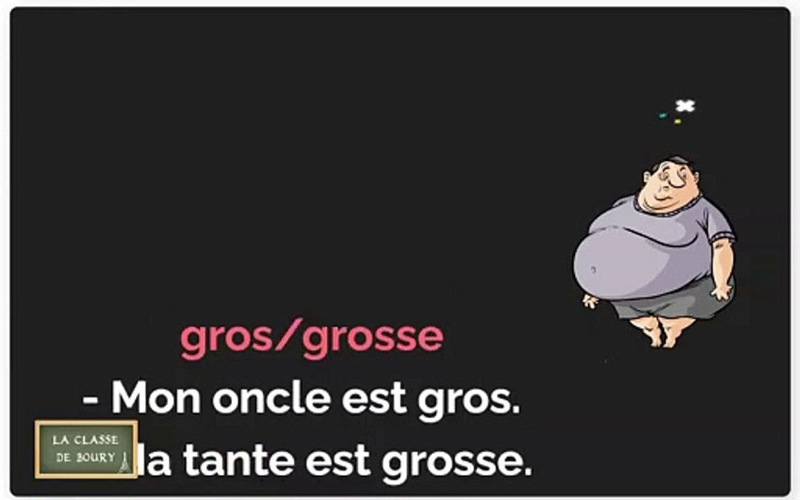 Des adjectifs pour la description