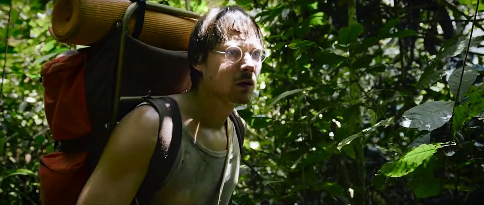 Die Stimme des Regenwaldes Film
