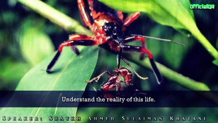 What Is Death ᴴᴰ - [Powerful Speech] - Shaykh Ahmed Sulaiman Khatani/ by islam for all