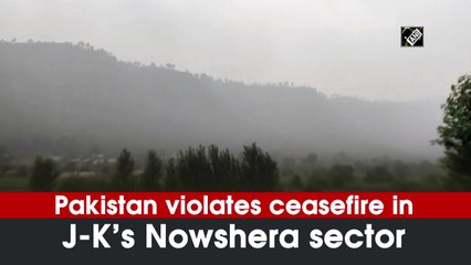Pakistan violates ceasefire in J-K’s Nowshera sector