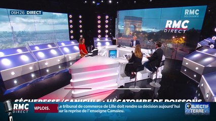 Objectif Terre : Hécatombe de poissons dans la région parisienne - 17/08