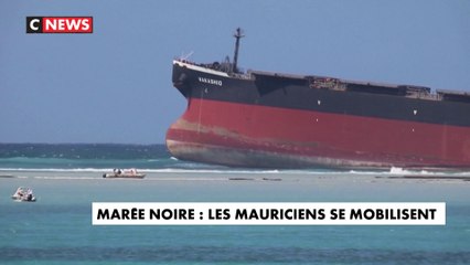 Marée noire : les Mauriciens se mobilisent