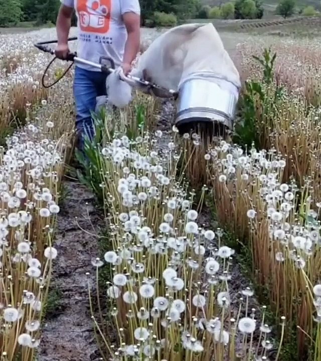 Relaxing Videos - 6 - Amazing Things You Have Never Seen and Oddly Satisfying