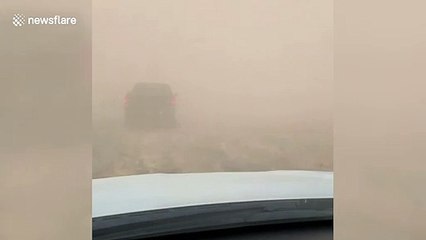 Dust storm engulfs cars in Arizona