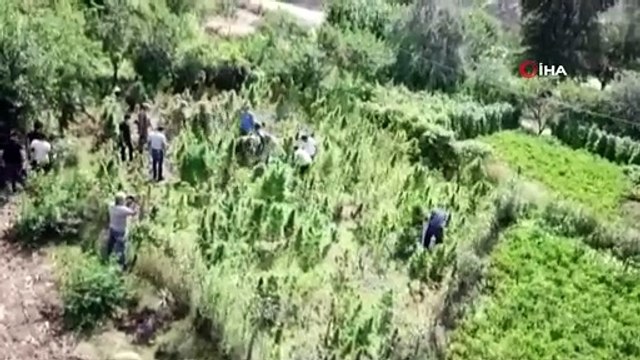 Bitlis'te 48 kilogram kubar esrar ve 2 bin 345 kök kenevir ele geçirildi