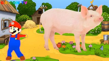 Con Gì Đây, Video Dạy Bé Tập Nói Sớm Tên Các Con Vật của kênh Gà Con TV