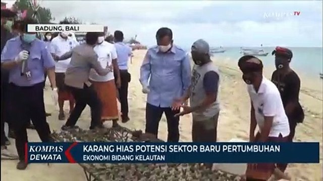 Potensi Karang Hias Sebagai Sumber Ekonomi Kelautan
