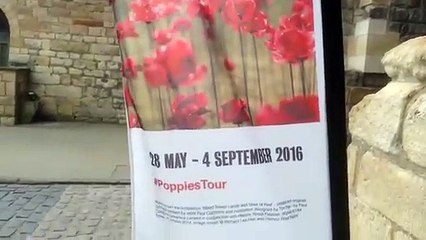 Lincoln Castle poppies display