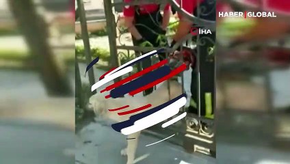 Korkuluklara sıkışan köpek, kurtarıldı