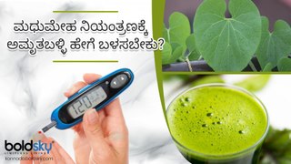 ಮಧುಮೇಹ ನಿಯಂತ್ರಣಕ್ಕೆ ಅಮೃತಬಳ್ಳಿ ಹೇಗೆ ಬಳಸಬೇಕು? | Giloy For Diabetics Boldsky Kannada