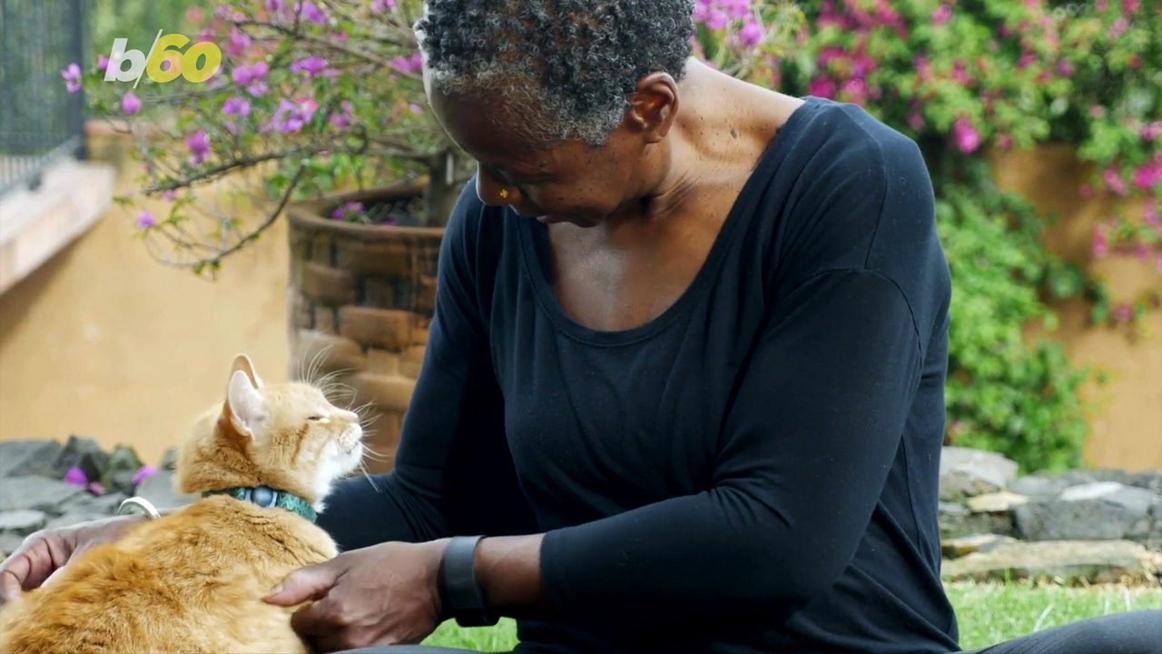 COVID-19 Has Brought People Closer with Their Pets