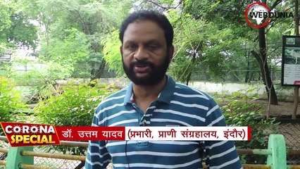 कोरोनावायरस से शेर-भालू हुए खुशहाल, इंसान बेहाल