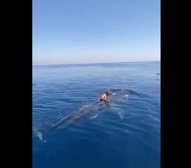 شاب سعودى يقفز على حوت في الماء