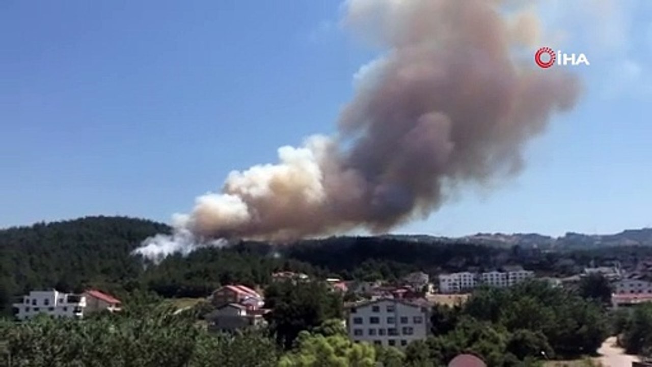 Bursa'da orman yangını...Alevler villalara yaklaşıyor