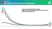 Gráfico con la evolución de los ingresos hospitalarios por coronavirus en Andalucía. COVIDー19 (1)
