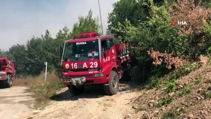 Bursa'da orman yangını...Alevler villalara yaklaşıyor