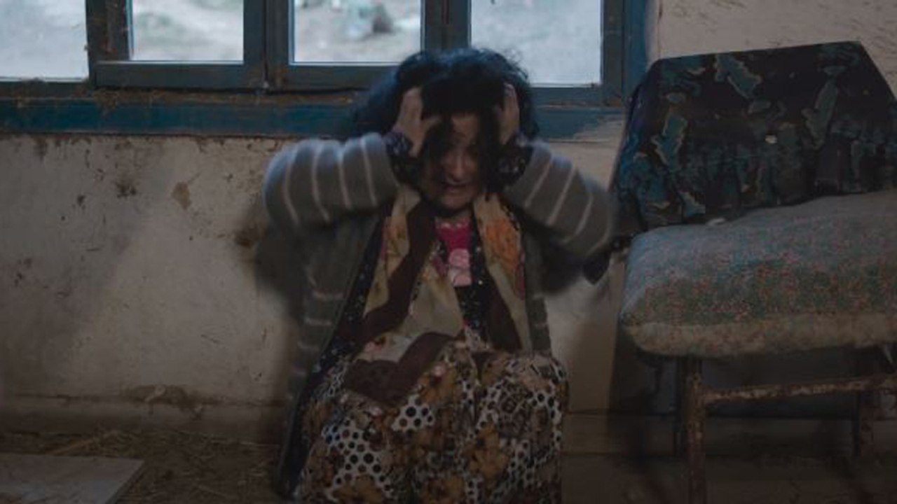 İntikam Soğuk Duş Fragman