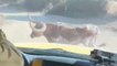 Bull chases away firefighters battling Lake Fire