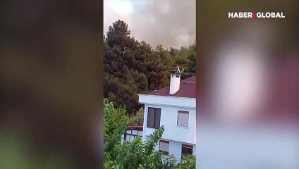 Bursa ve Adana'da orman yangınları