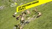 Tour de France 2020 : Étape 5 - Les vautours fauves