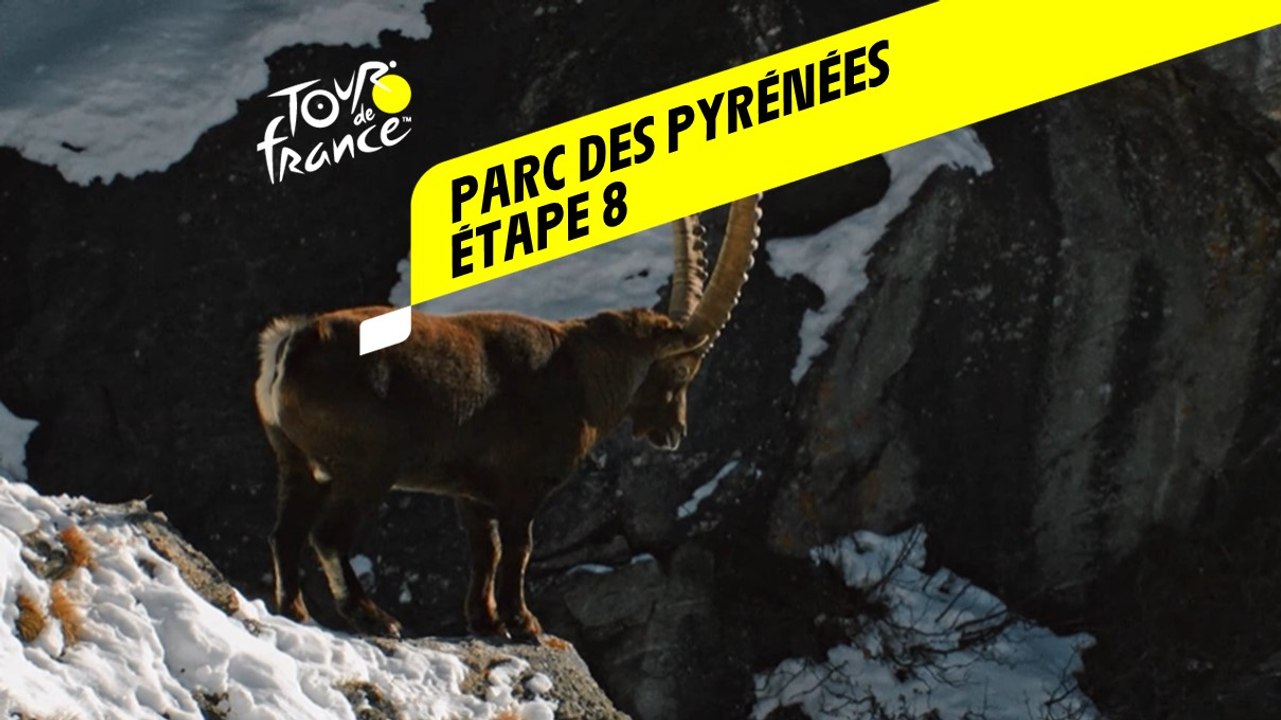 Tour de France 2020 : Étape 8 - Parc national des Pyrénées