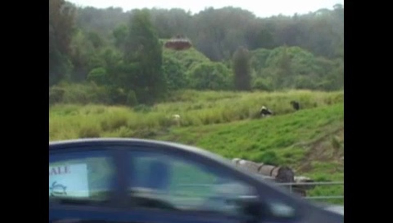 Authentic UFO Sighting Metalic Object Over 50 feet Wide! OVNI