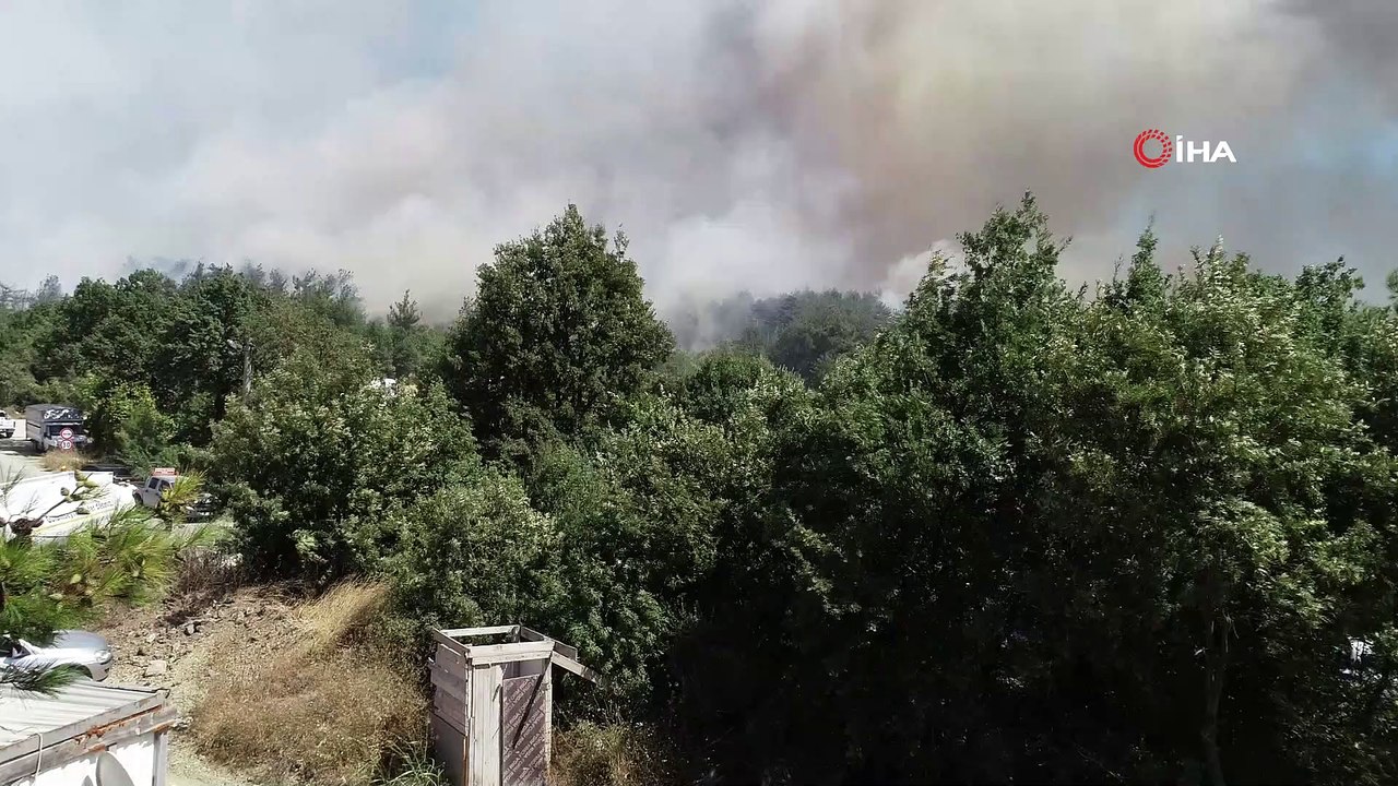Bursa'da orman yangını...Alevler villalara yaklaşıyor