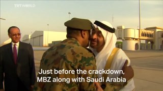 UAE MBZ Corruption