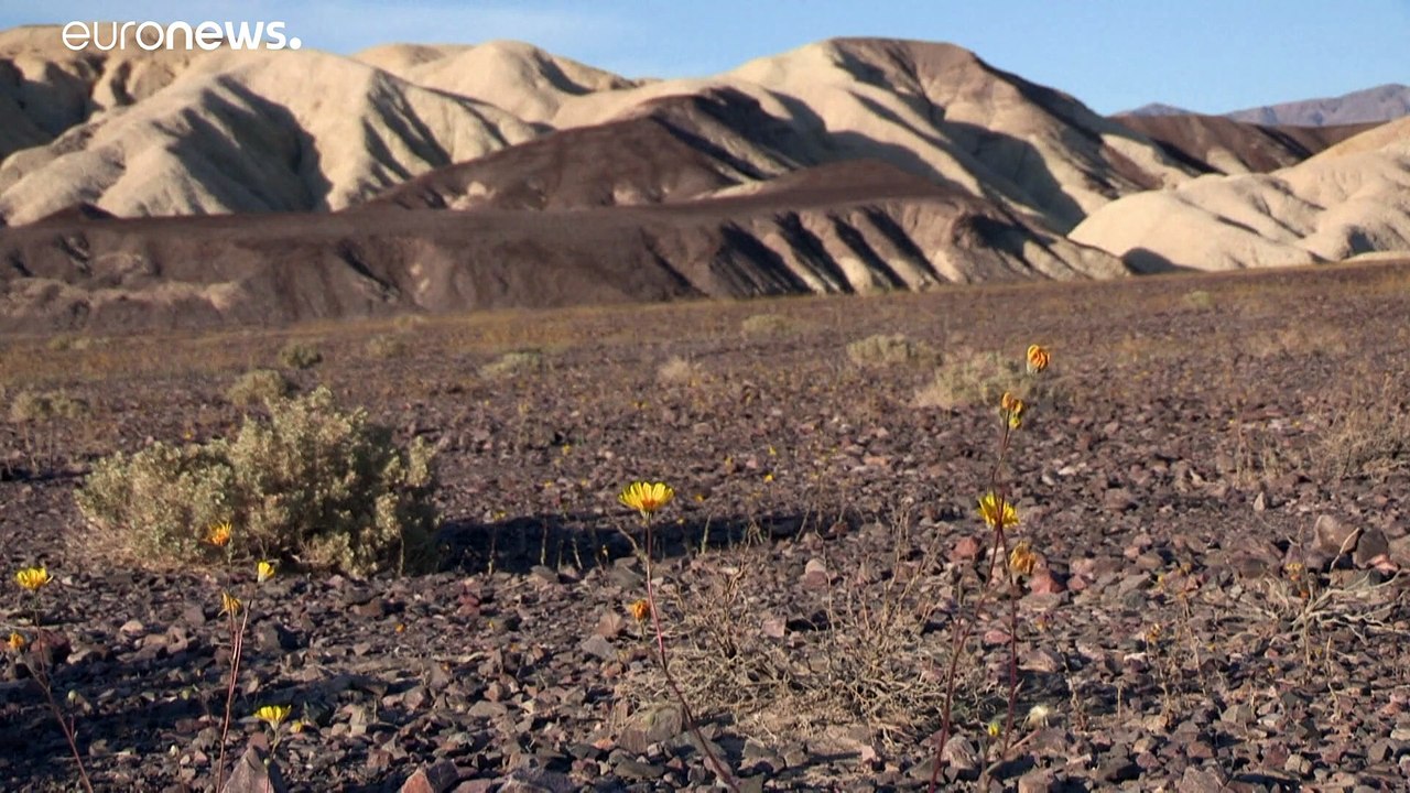 54,4 Grad Celsius - weltweiter Hitzerekord im Death Valley?