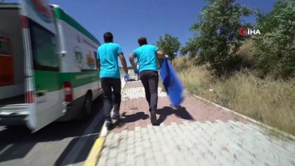 Uşak'ta sokak hayvanları için 'Acil Müdahale Aracı' faaliyete başladı