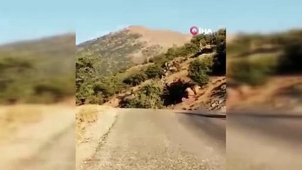 Hizan’da PKK'nın yola döşediği EYP imha edildi