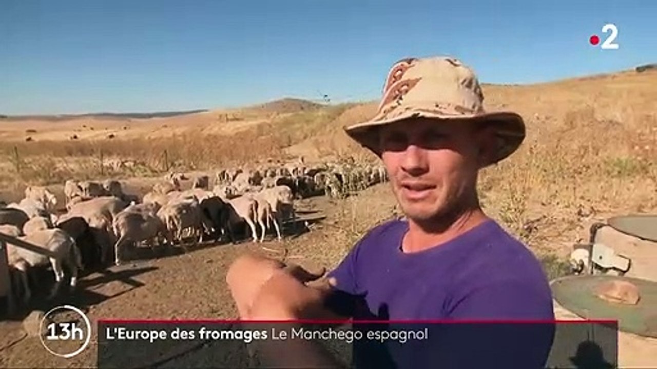 Fromages : à la découverte du Manchego espagnol